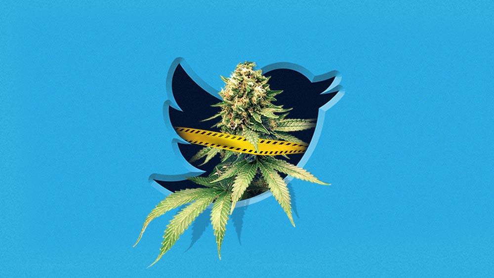 twitter-cannabis-digitips-lgdp